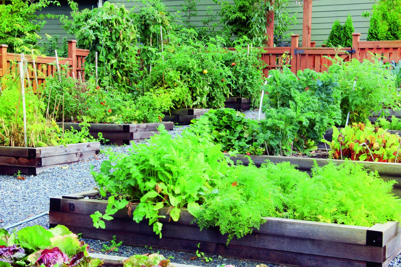 Kitchen Garden Design Multiple Beds in row