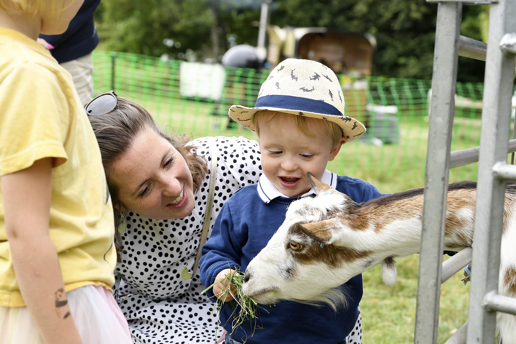 Boy petting zoo medium res