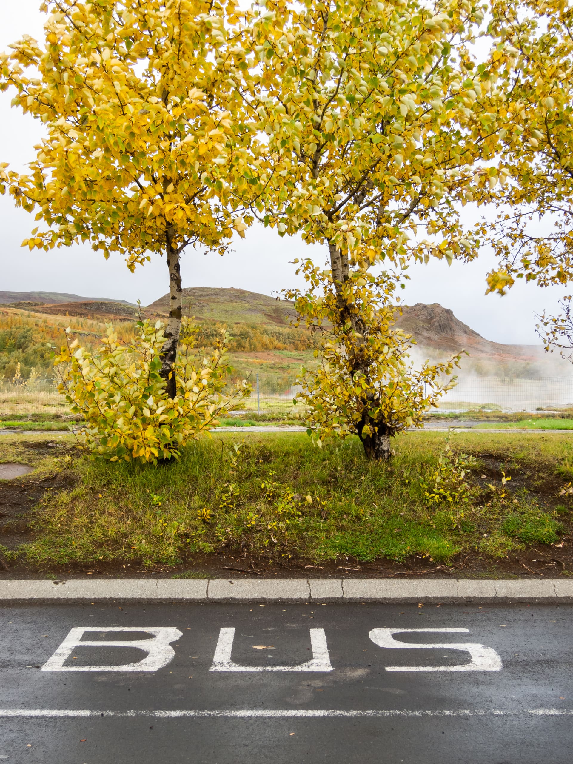 Bus stop