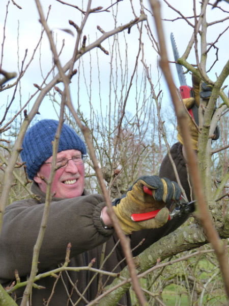 Chris pruning in1xxw