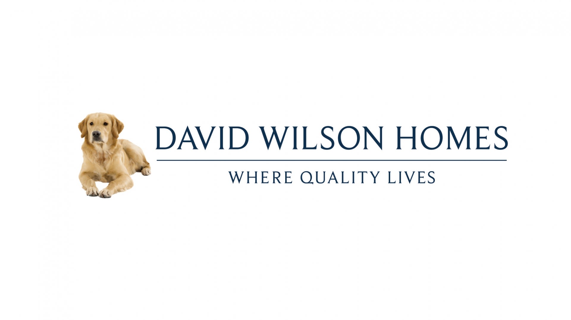 David Wilson Homes Logo Blue