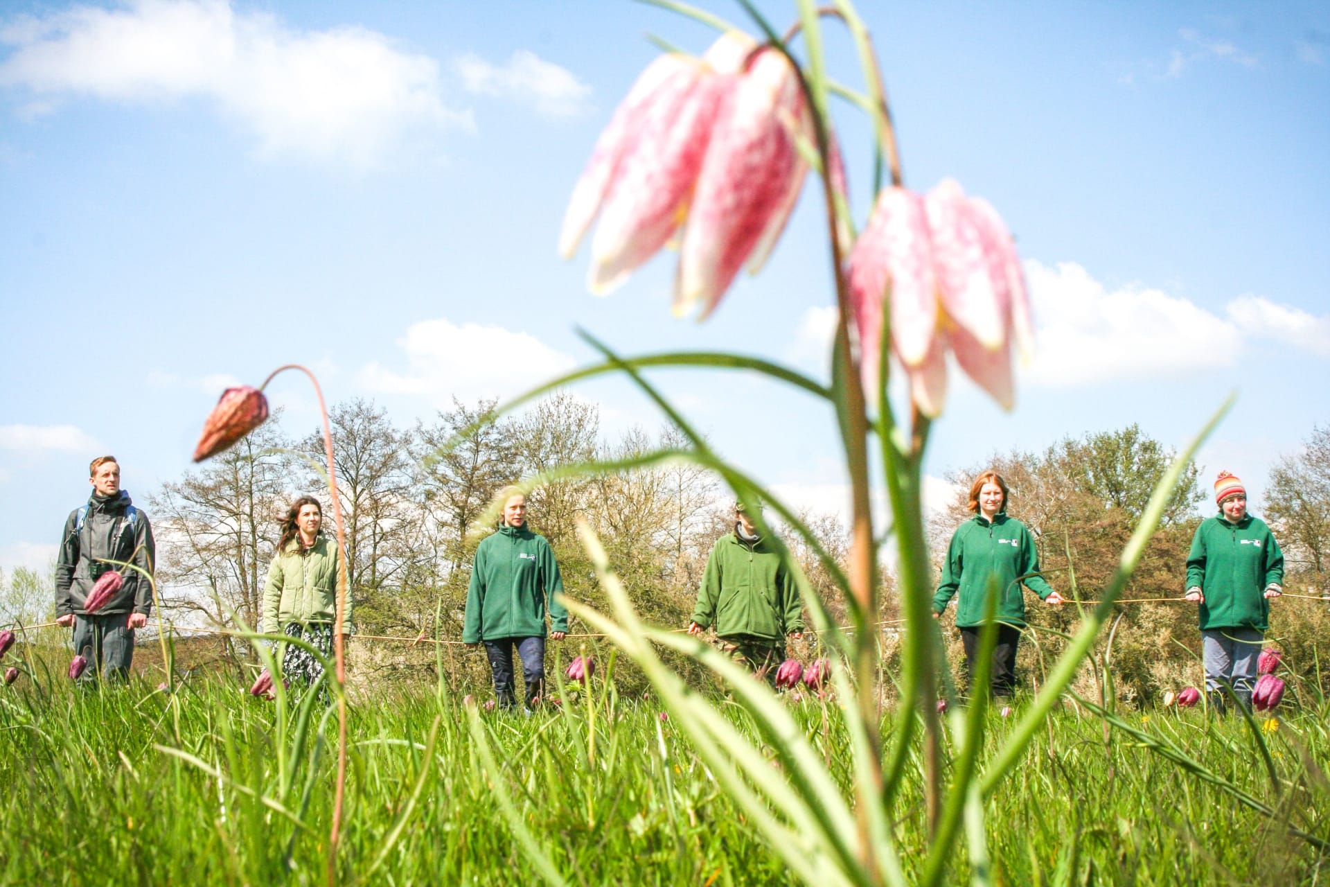 Flower count