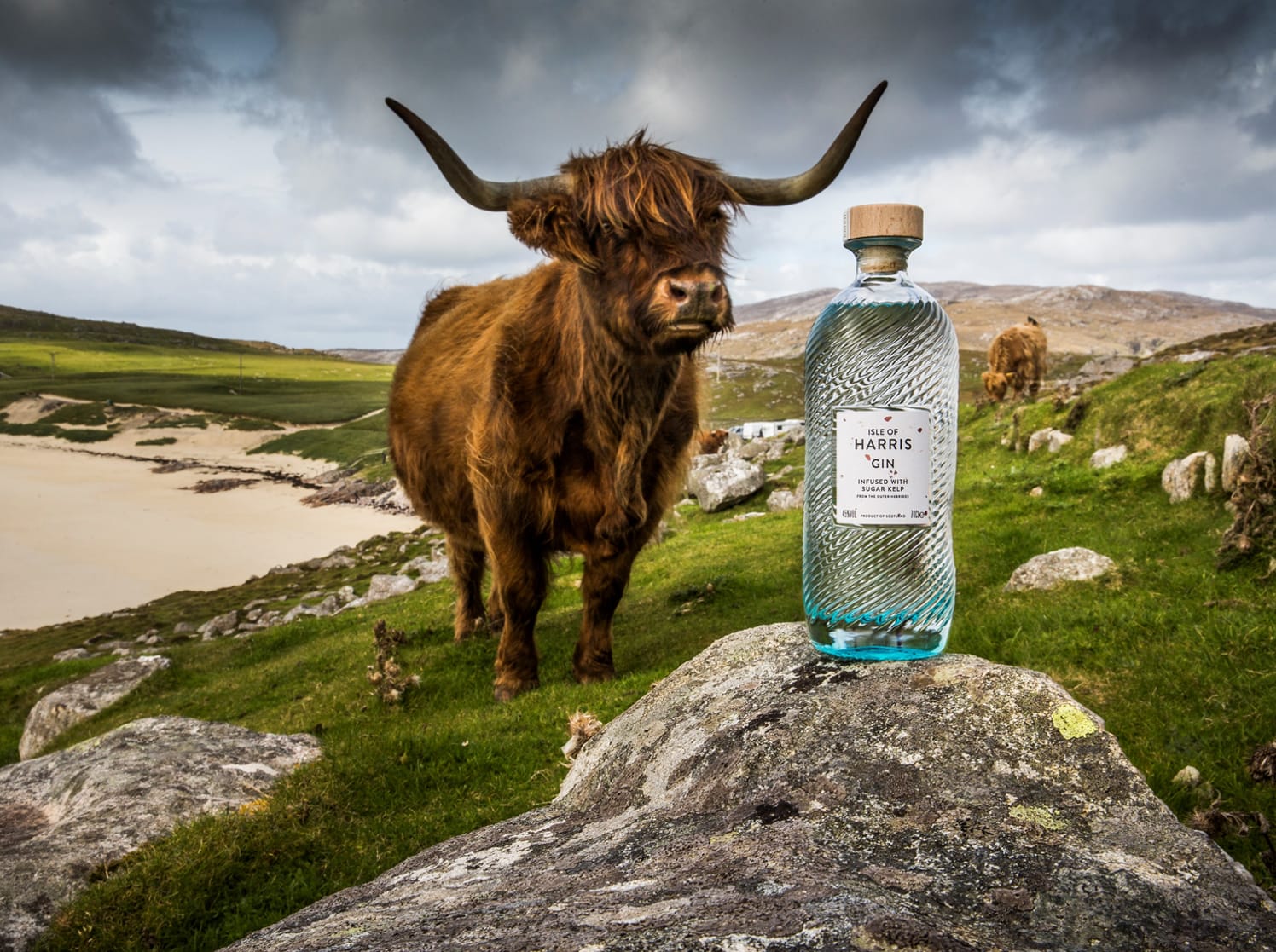 Mothers Ruin July Isle of Harris Gin Highland Cow