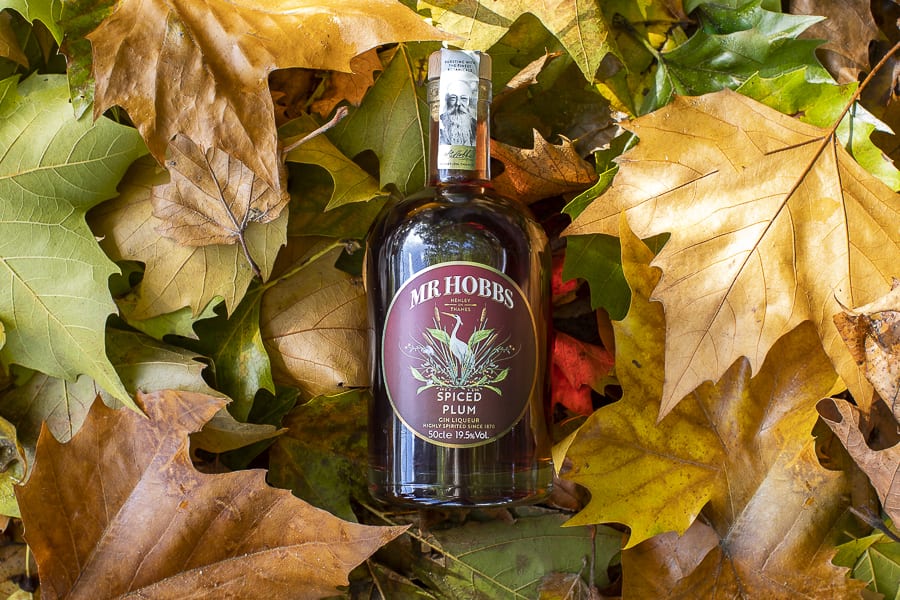 Hobbs Gin Autumn 67