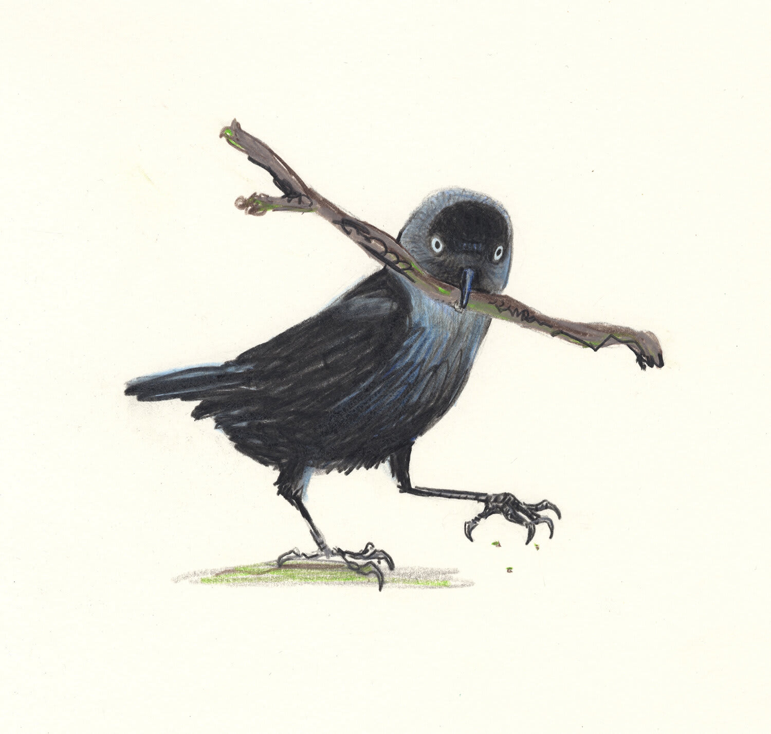 Jackdaw stick