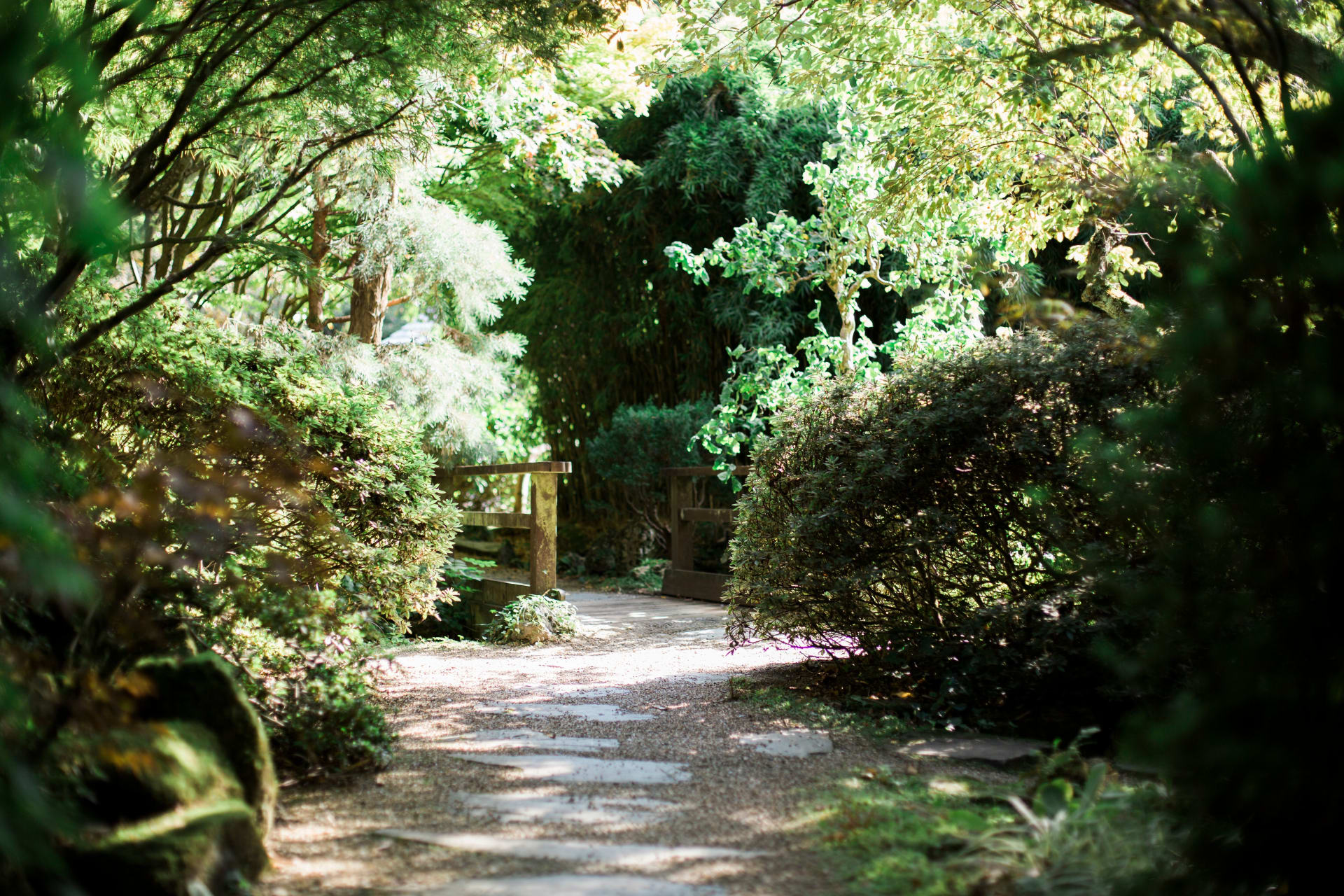 Japanese Garden