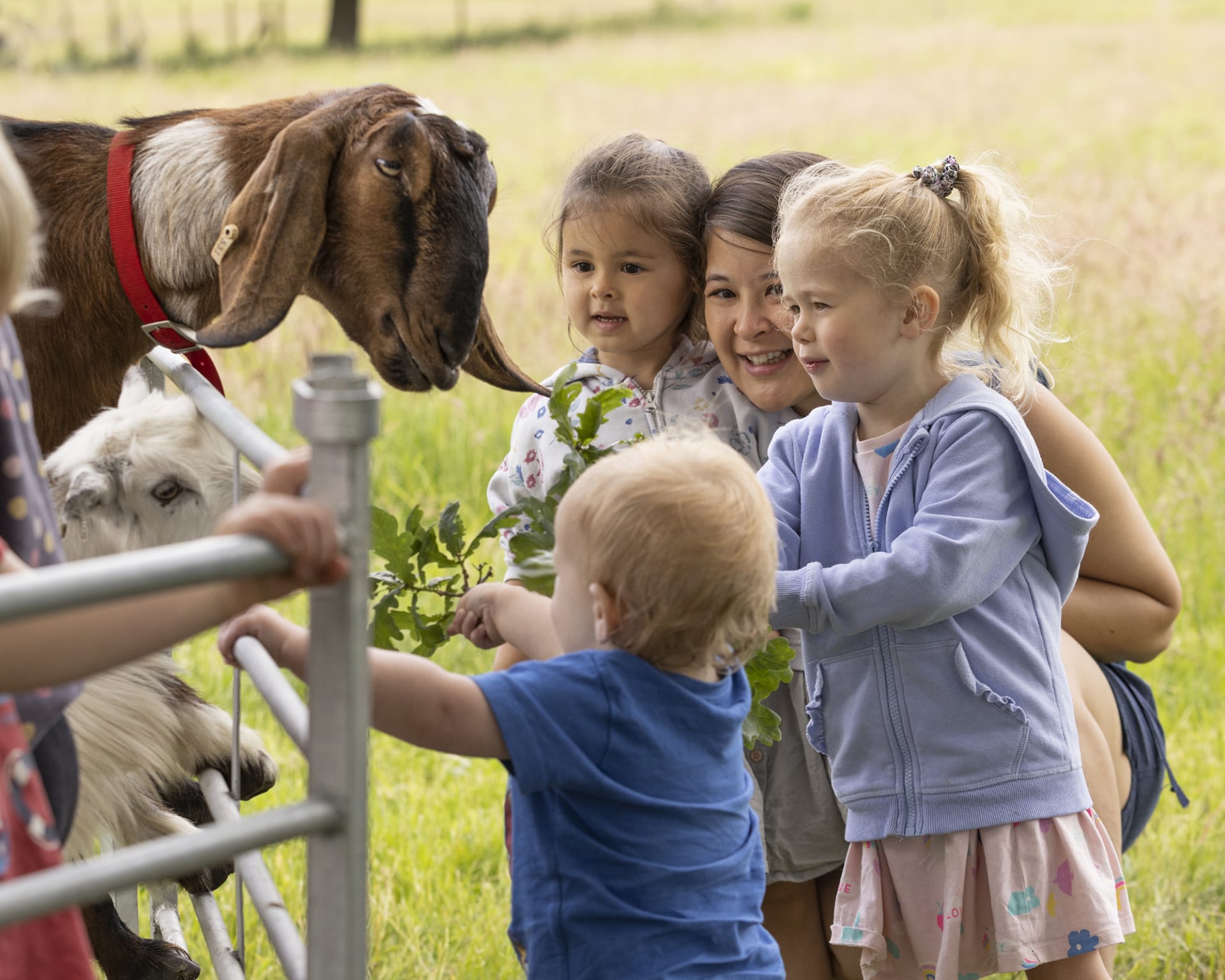 LEAF Open Farm