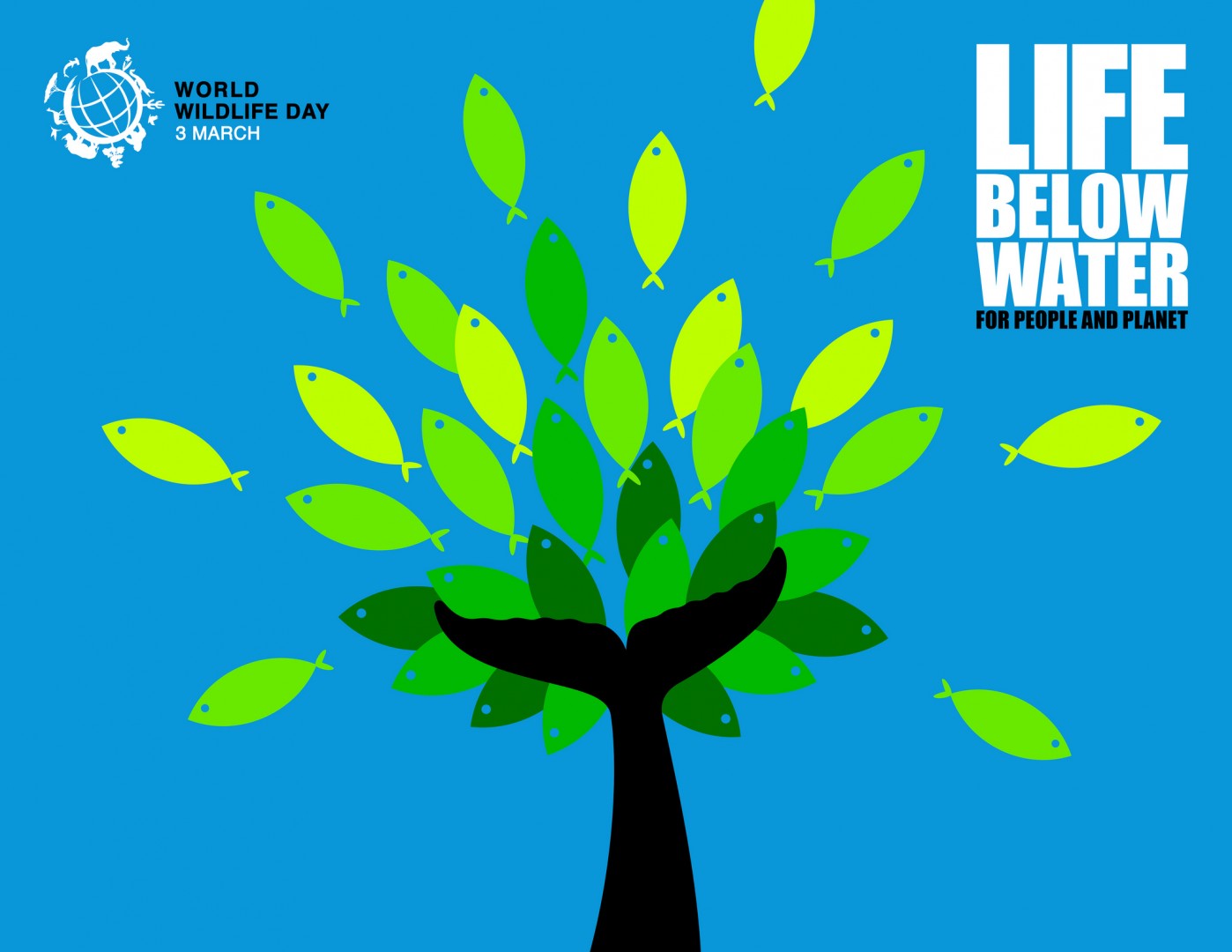  World  Wildlife Day  2022 Life  Below Water