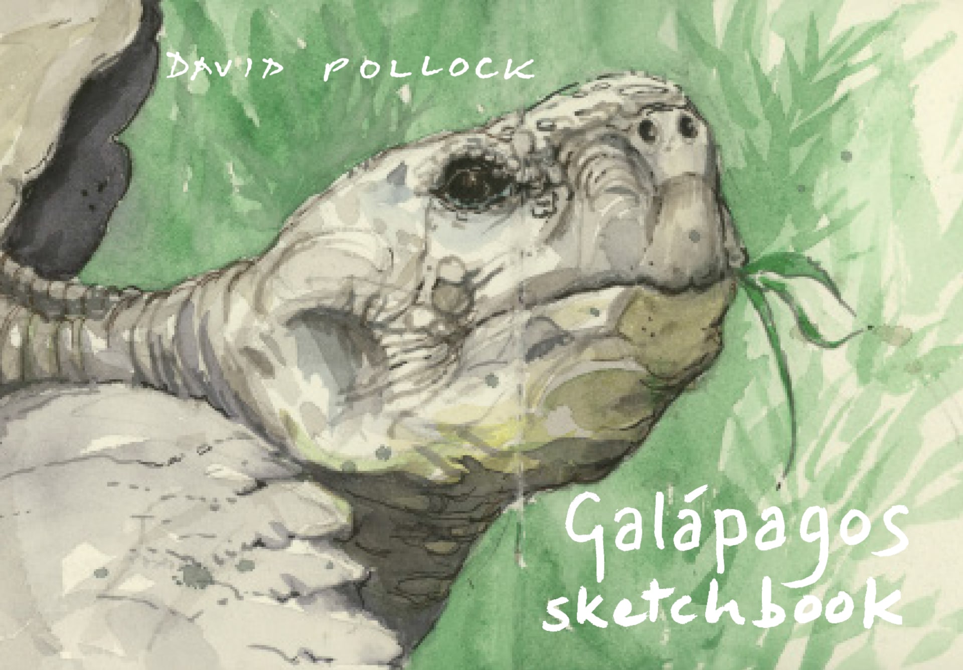 Pollock Galapagos front cover 