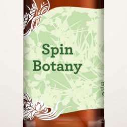 International beer day Spin Botany G and T Gose