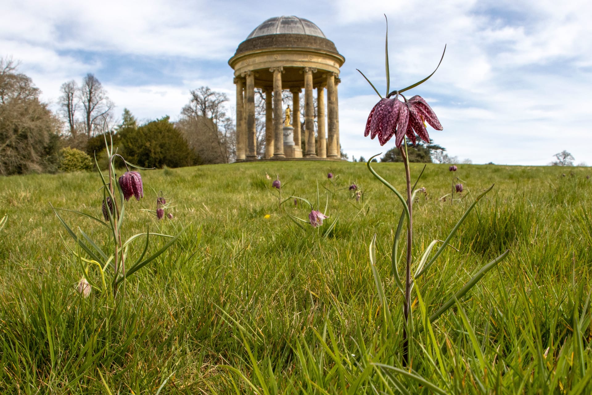 Stowe Gardens National Trust Hugh Mothersole bokaqb