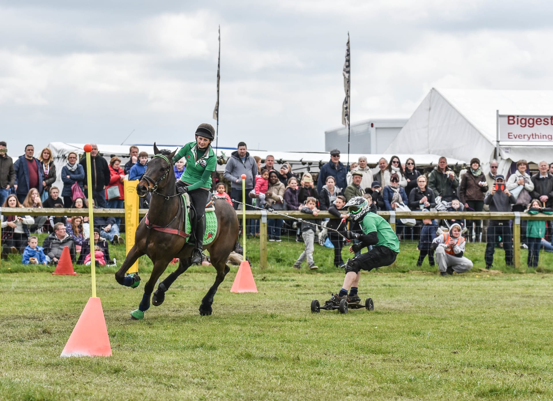 Thame Horse Boarding