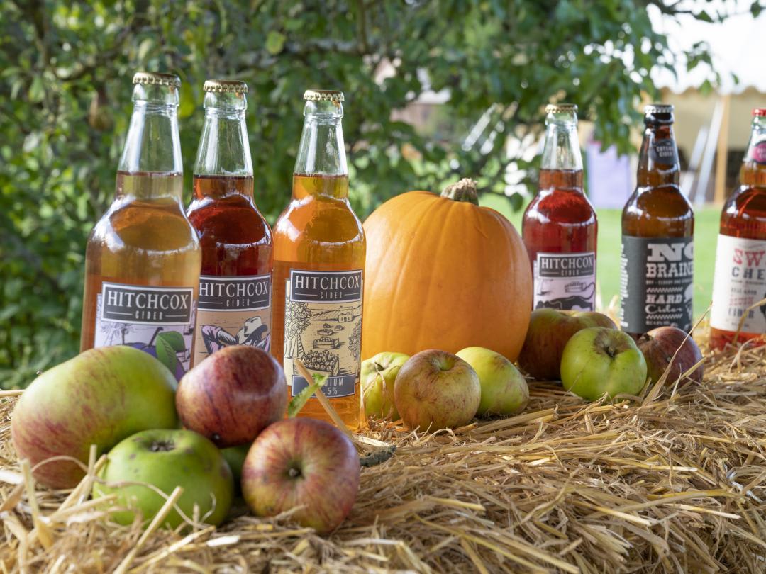 autumn fest cider