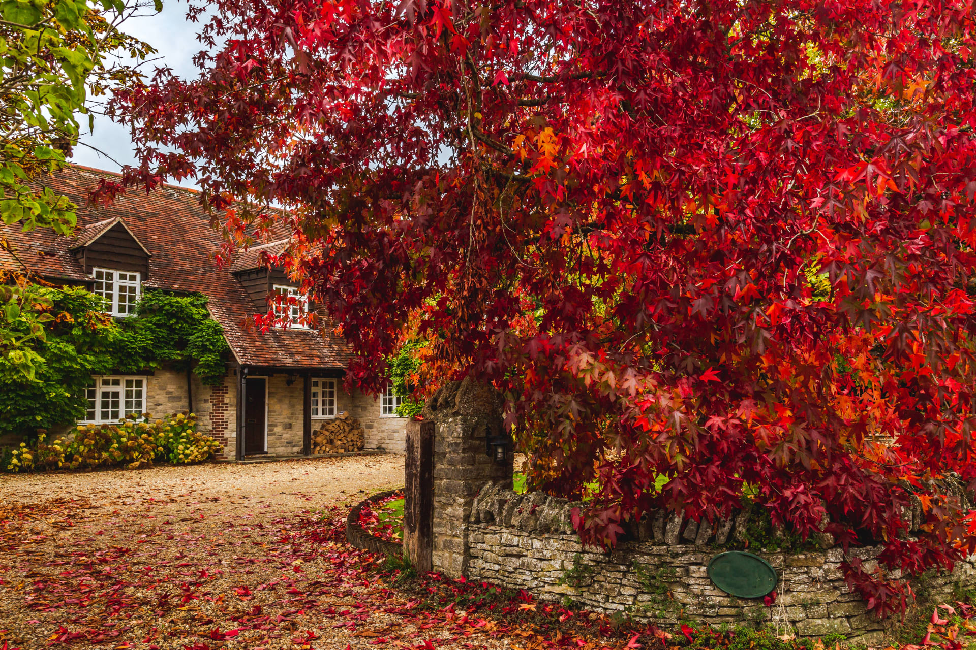 autumn leaves in oxfordshire