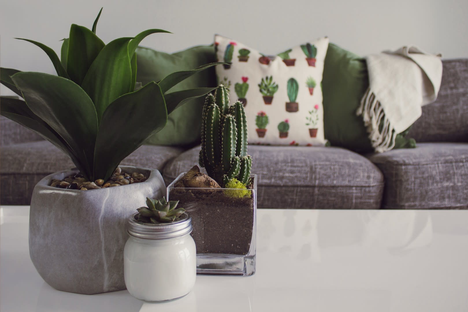 Selling your Home Designecologist Cactus and Print Cushions