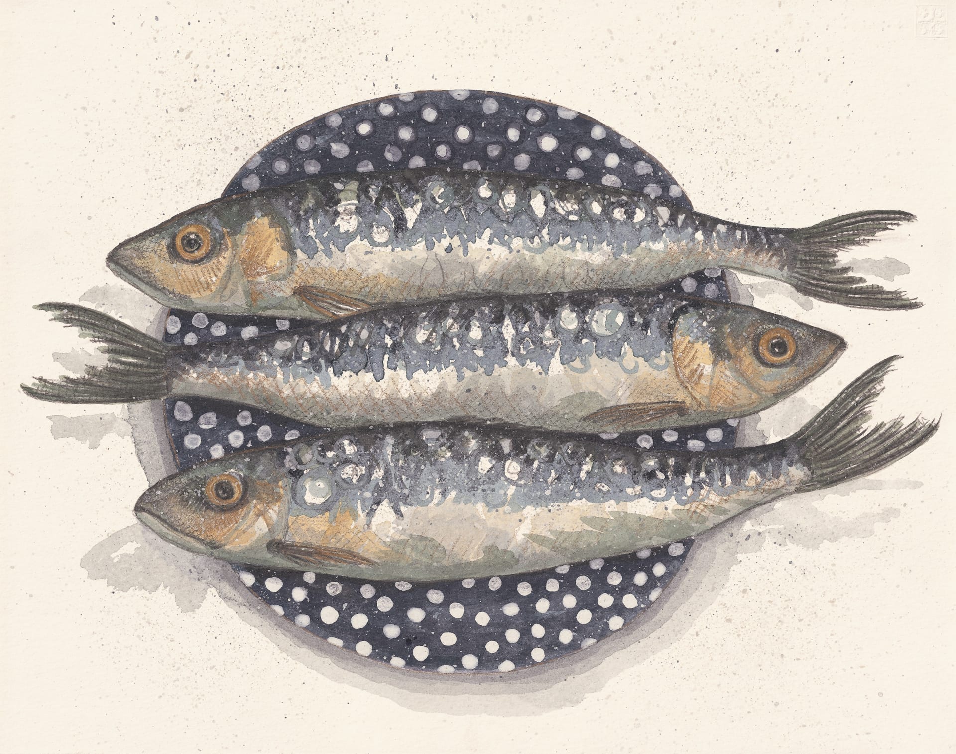 sardines Kirsten Jones y3culd