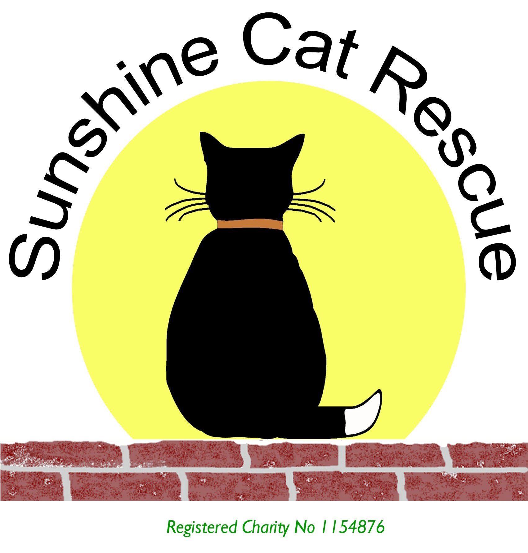 sunshine cat logo fiof0g