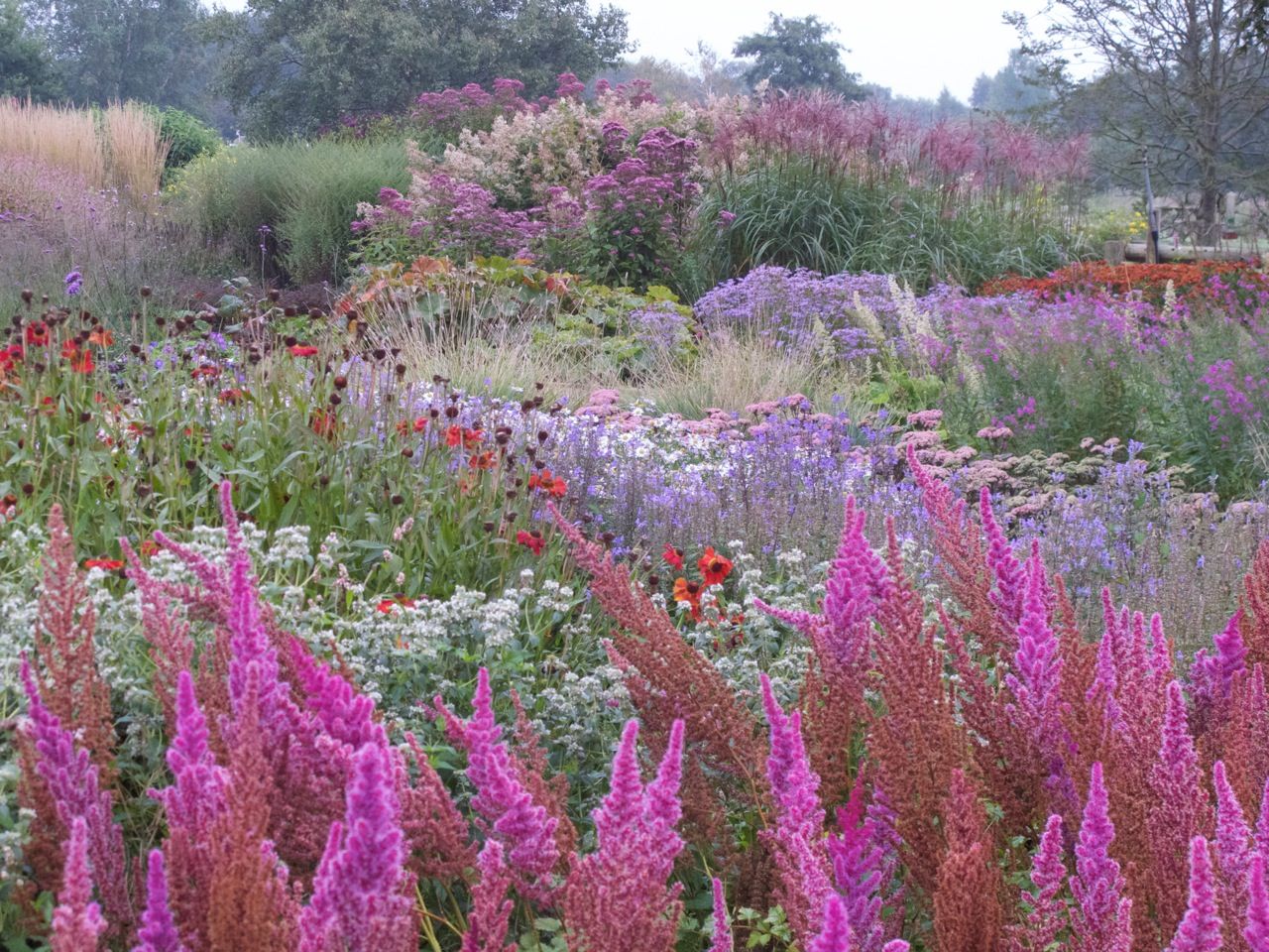 Naturalistic Planting Still A Firm Favourite Two Decades On